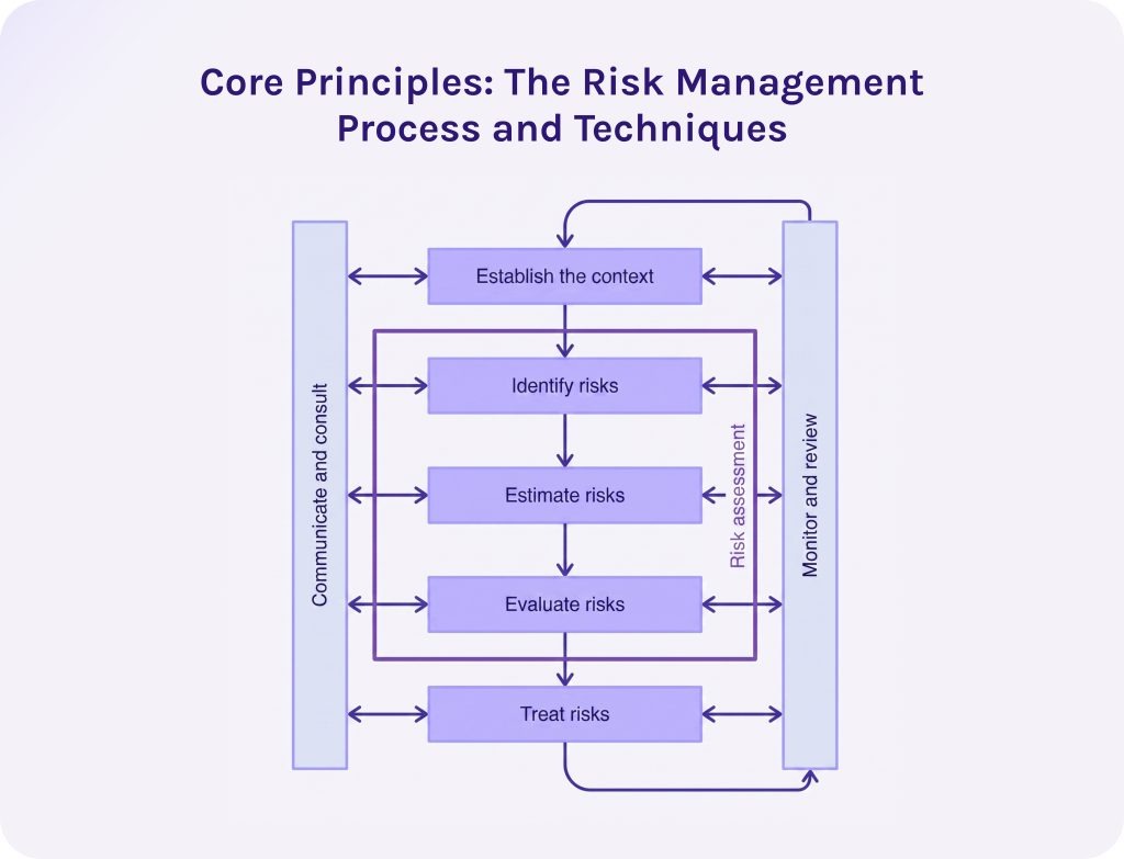 Core Principles of The Risk Management